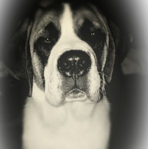 Meet your Posher, Katrina